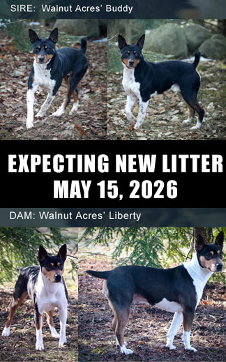Meet ur New Litter